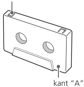 TEAC W-865R - Nokjes gegen per ongeluk wollen - 1