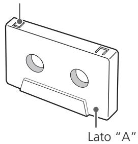 TEAC W-865R - Linguette di prevenzione delle cancellazioni accidentali - 1