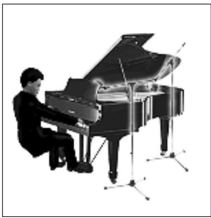 AKG C 414B-XLS - Piano de cola/vertical - 1