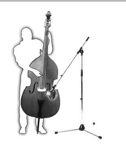 AKG PERCEPTION 820 TUBE - Cello/technique 2: - 1