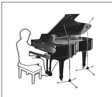 AKG PERCEPTION 820 TUBE - Grand and Upright Pianos - 1