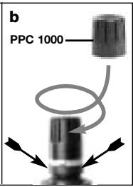 AKG WMS 450 - PB 1000 y PPC 1000 (HT 450/C) - 2