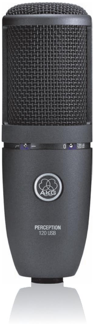 AKG PERCEPTION 120 USB - 1