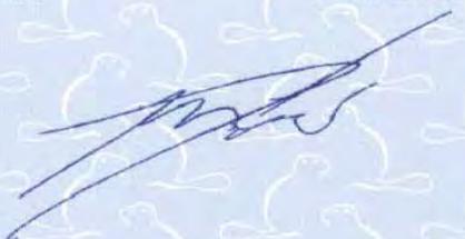 WANDERS NORMA FREE - GASTEC - 2