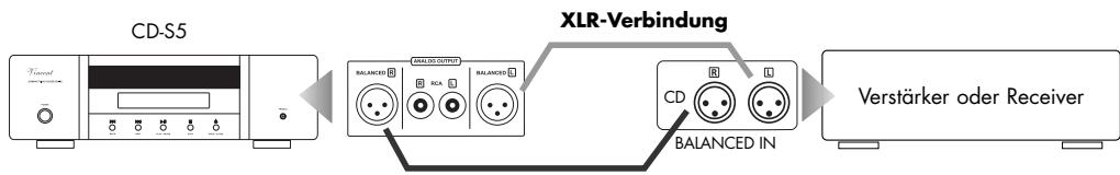 VINCENT CD-S5 - Verwendung des analygen Ausgangs mit XLR-Anschluss - 1