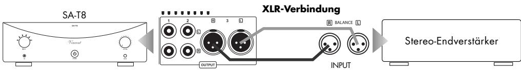 VINCENT SA-T8 - ANSCHLUSS DER QUELLGERÄTE - 2