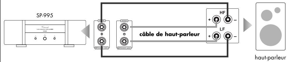 VINCENT SP-995 - BRANCHEMENT DES HAUT-PARLEURS - 1