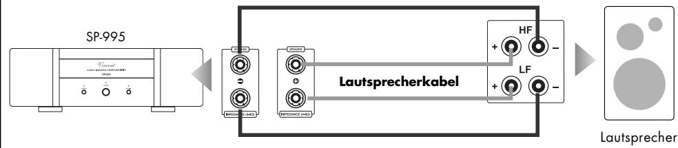 VINCENT SP-995 - ANSCHLUSS DER LAUTSPRECHER - 1