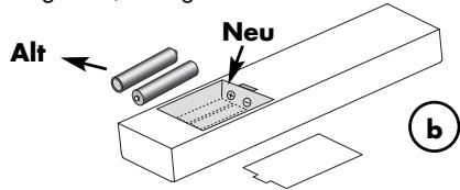 VINCENT SV-122 - Wechsel/Einlagen der Batterien: - 2
