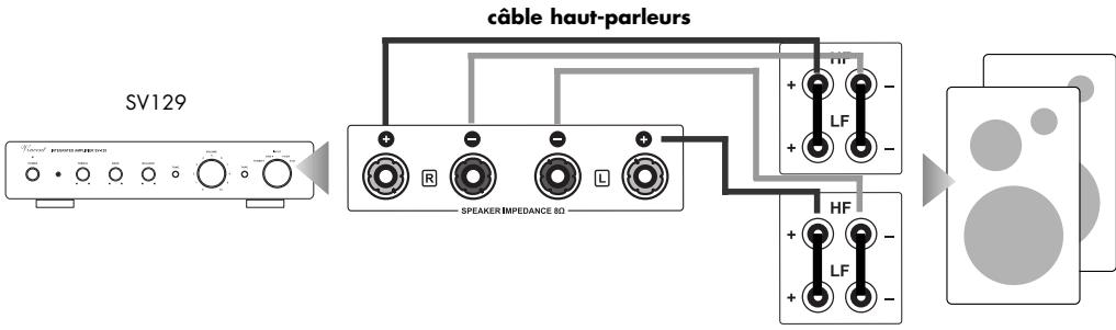VINCENT SV-129 - Branchement des haut-parleurs - 1