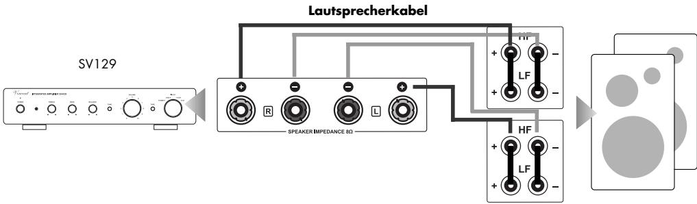 VINCENT SV-129 - ANSCHLUSS DER LAUTSPRECHER - 1