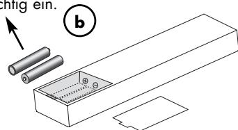 VINCENT SV-129 - Wechsel/Einlagen der Batterien: - 2