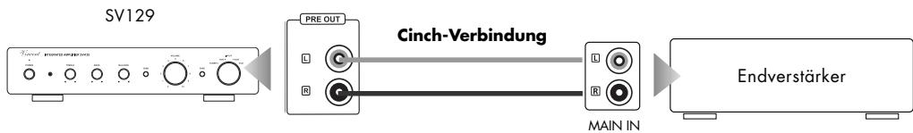 VINCENT SV-129 - ANSCHLUSS ZWEIER ZUSÄTZLICHER ENDSTUFENKANÄLE - 1