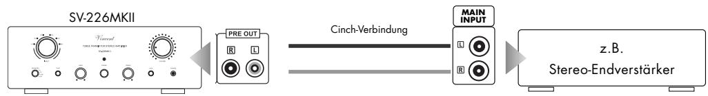 VINCENT SV-226MKII - ANSCHLUSS ZWEIER ZUSÄTZlicher ENDSTUFENKANÄLE - 1