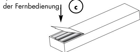 VINCENT SV-226MKII - Wechsel/Einlagen der Batterien: - 3