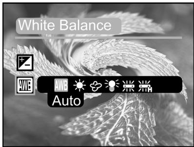 GENIUS D613 - Balance des blancs - 1