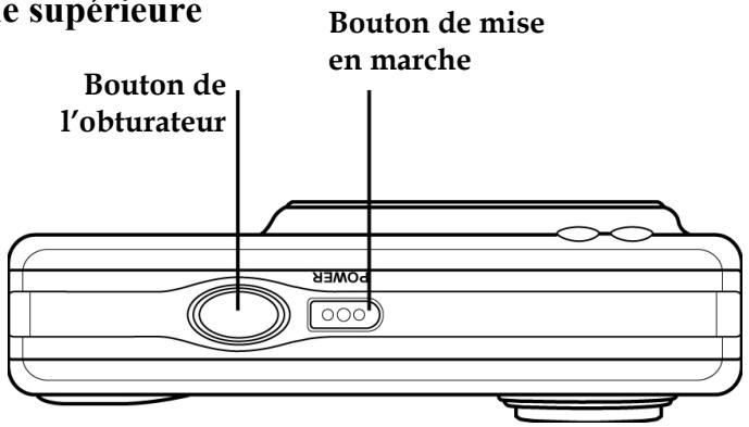 GENIUS D613 - À propos de la lama - 1