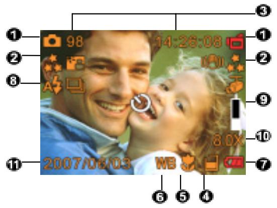 GENIUS DV53 - Informácie LCD monitora - 1
