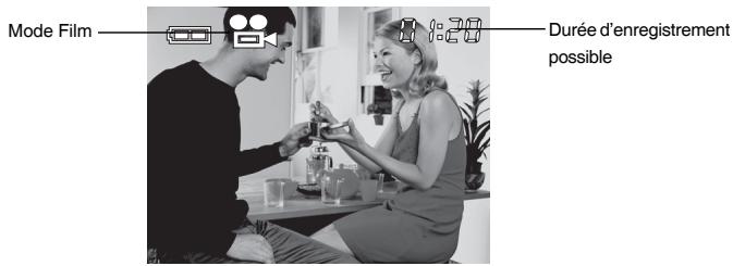 GENIUS P210 - Icônes d'affichage LCD - 2