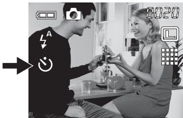 GENIUS P210 - Retardateur - 1