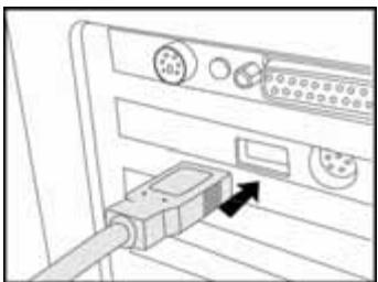 GENIUS P436 - Étape 2: connecter votre appareil à votre ordinateur - 1