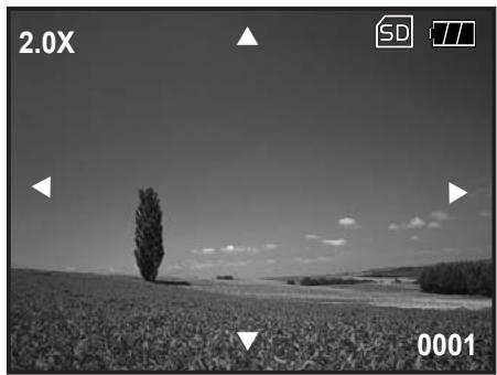 GENIUS P7533 - Agrandissement des Images - 1