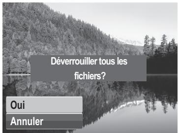 GENIUS G-SHOT V1200 - Pour protéger des fichiers : - 6