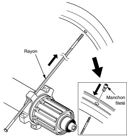 SHIMANO WH-7900-C35-CL - Remplacement des rayons - 1