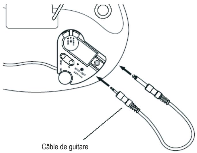 TERRATEC AXON AIX 101 MANUAL 1.0 - Branchement du câble de l'instrument - 1