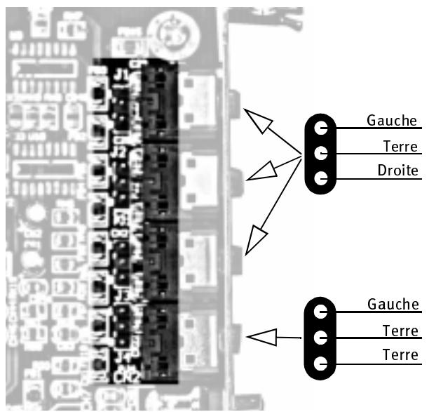 TERRATEC EWS64S - Connecteurs internes - 5