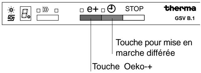 THERMA GSVB1WS - Panne du réseau électrique - 2