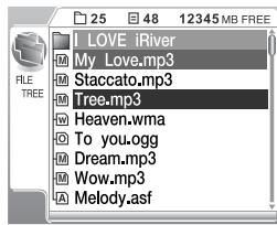 IRIVER H300 - Navigation en utilisant l'arborescence de fichiers - 1