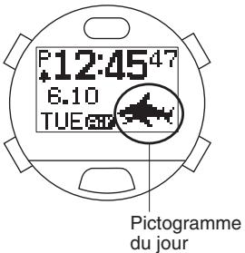 CITIZEN WATCH D71 - affichage du pictogramme du jour - 1
