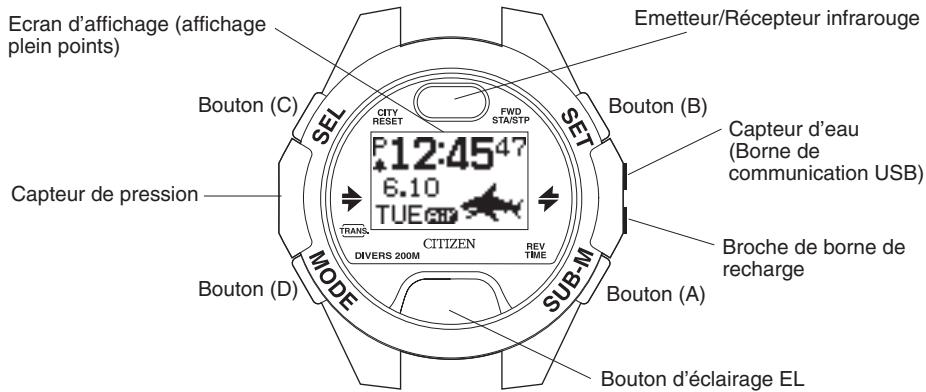 CITIZEN WATCH D71 - Affichage de la montre pendant la recharge - 2