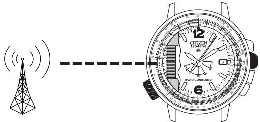 CITIZEN WATCH H461 - Caractéristiques - 1