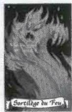 MB HEROQUEST - Les cartes - 3