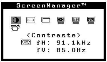 EIZO FLEXSCAN T966 - Entrée dans le programme ScreenManager - 1