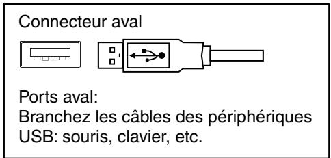 EIZO FLEXSCAN T966 - Branchement au concentrateur USB (configuration de la fonction USB) - 6