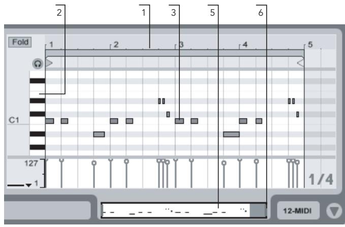ABLETON LIVE 6 LE - Navigation et transport dans l'Editeur MIDI - 2