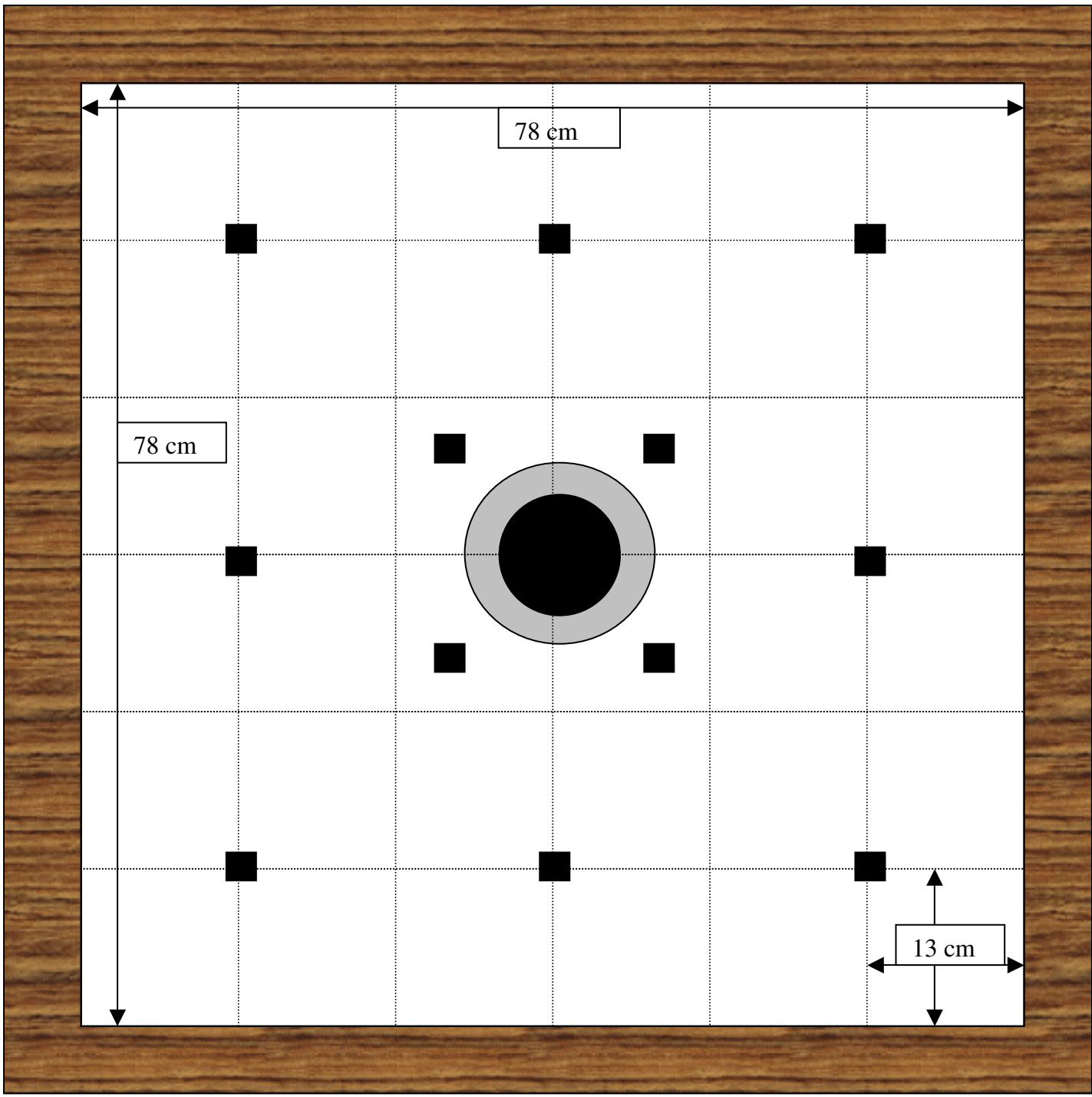 LAZER FIDJI - Pose et réglages des vérins - 1