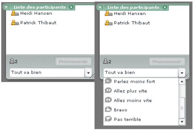 MACROMEDIA BREEZE LIVE-A L INTENTION DES PARTICIPANTS AUX REUNIONS - Le module liste des participants - 1