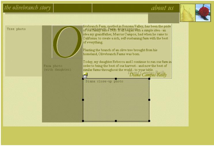 MACROMEDIA DREAMWEAVER 2-UTILISATION DE DREAMWEAVER - Pour ajouter de nouveaux calques à une page : - 1