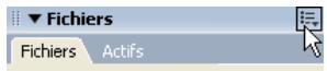 MACROMEDIA DREAMWEAVER 8-UTILISATION DE DREAMWEAVER - Pour afficher le journal FTP : - 1