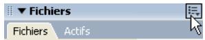 MACROMEDIA DREAMWEAVER 8-UTILISATION DE DREAMWEAVER - Pour localiser et sélectionner des fichiers extrais dans un site dreamweaver : - 1