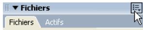 MACROMEDIA DREAMWEAVER 8-UTILISATION DE DREAMWEAVER - Pour afficher le journal FTP : - 1