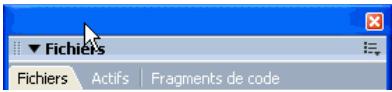 MACROMEDIA DREAMWEAVER 8-UTILISATION DE DREAMWEAVER - Pour faire glisser un groupe de panneaux flottant (détaché) sans l'ancrer : - 1