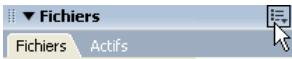 MACROMEDIA DREAMWEAVER 8-UTILISATION DE DREAMWEAVER - Pour modifier le titre d'une page de la carte du site : - 1
