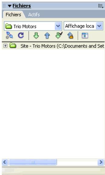 MACROMEDIA DREAMWEAVER MX 2004-BIEN DMARRER AVEC DREAMWEAVER - Pour définir un site : - 4