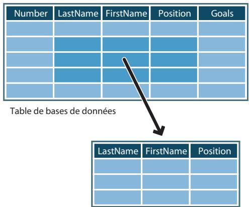 MACROMEDIA DREAMWEAVER MX 2004-BIEN DMARRER AVEC DREAMWEAVER - Terminologie du développement d'applications web - 1