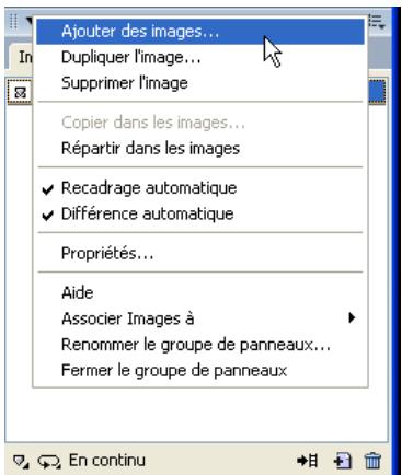 MACROMEDIA FIREWORKS 8-BIEN DMARRER AVEC FIREWORKS - Création et dénomination de cadres - 1